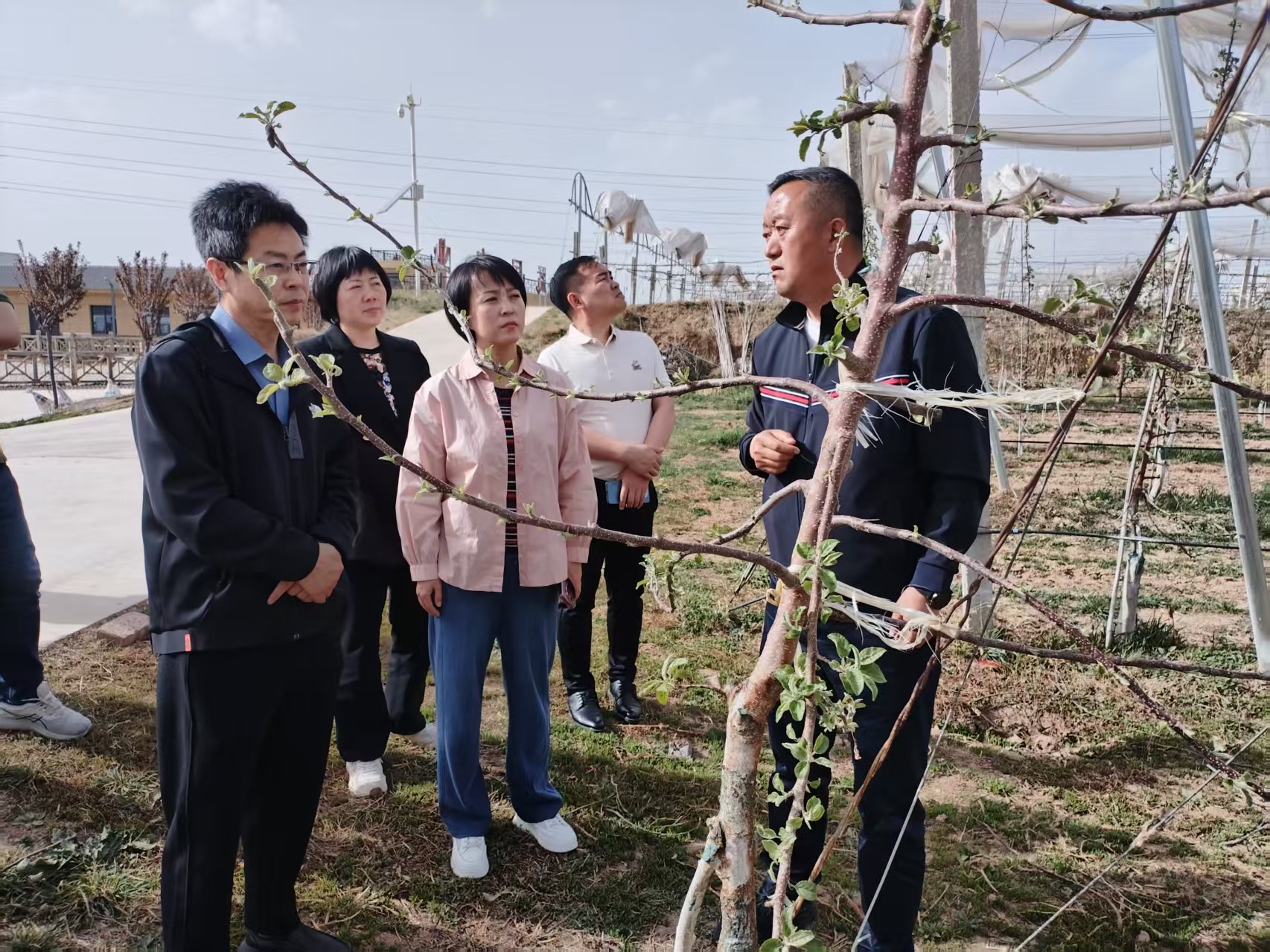 2025年4月16日銅川市供銷(xiāo)合作社王婧副主任與”鮮豐匯“、華東農(nóng)產(chǎn)品交易中