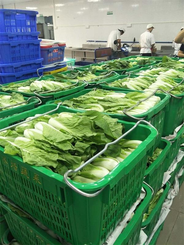 學校食堂蔬菜配送