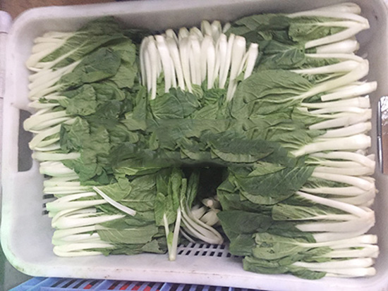 佛山農副產品配送